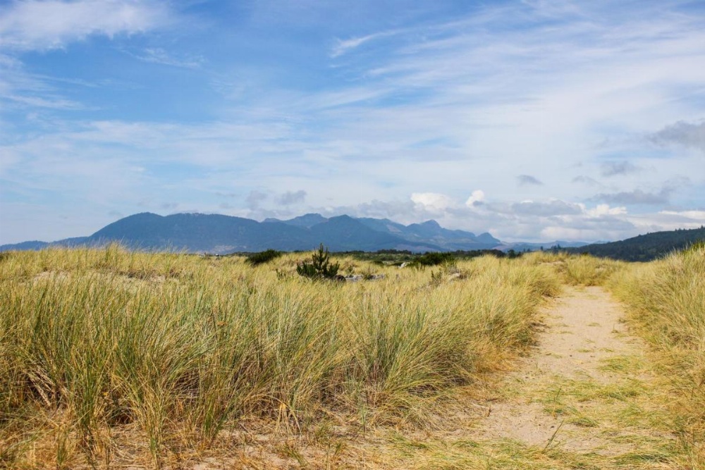 Second Tide - Oceanview Cottage